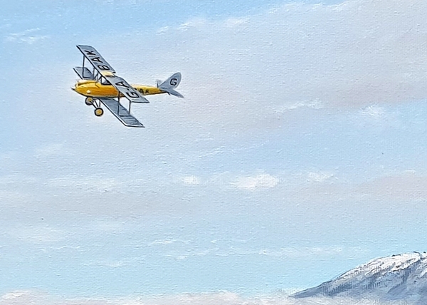 DH 60 Moth - détail